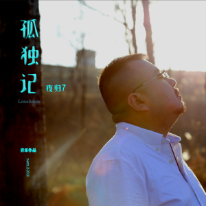 Listen to 孤独记 (完整版) song with lyrics from 夜归7