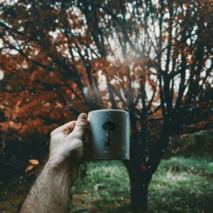Dengarkan lagu Thunder Rain nyanyian Nature Sounds Nature Music dengan lirik
