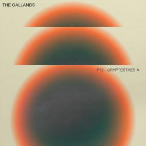 The Gallands的专辑P12- Cryptesthesia