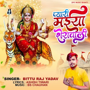 收听Bittu Raj Yadav的Pyari Maiya Sherawali歌词歌曲