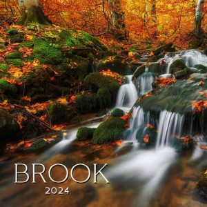 Album Brook 2024 oleh Underwater Sound