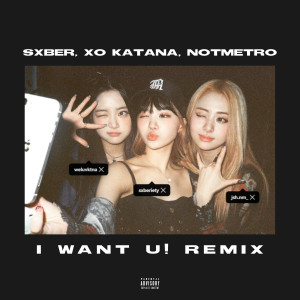 ดาวน์โหลดและฟังเพลง I Want U! (notmetro Remix|Explicit) พร้อมเนื้อเพลงจาก notmetro