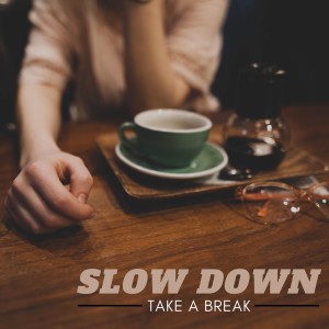 Album Slow Down ( Take a Break ) from Various Artists