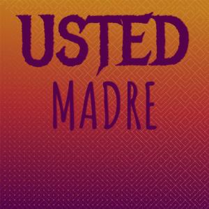 Dengarkan lagu Usted Madre nyanyian Lude Andin dengan lirik