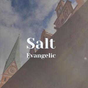 Various Artists的專輯Salt Evangelic