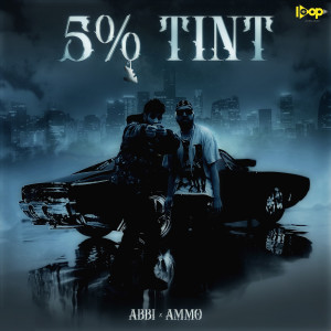 Listen to 5% Tint (Explicit) song with lyrics from Abbi