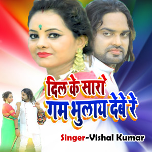 收听Vishal Kumar的Dil Ke Sara Gam Bhulay Debe Re歌词歌曲
