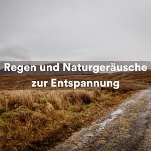 Album Regen und Naturgeräusche zur Entspannung from Naturgeräusche