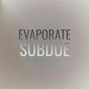 Various的专辑Evaporate Subdue