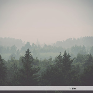 Listen to Zen song with lyrics from Regengeluiden