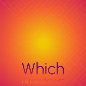 Listen to Which Amendment song with lyrics from Jamy Pawn