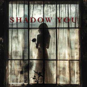 อัลบัม Shadow You ศิลปิน Henri Werner