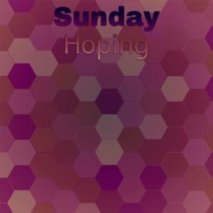 Various Artists的專輯Sunday Hoping