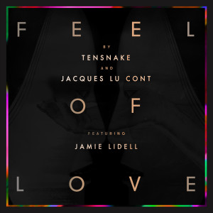Jacques Lu Cont的專輯Feel Of Love