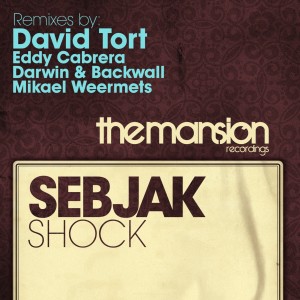 ดาวน์โหลดและฟังเพลง Shock พร้อมเนื้อเพลงจาก Sebjack