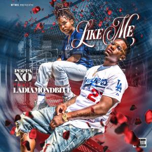 ดาวน์โหลดและฟังเพลง Like Me (feat. LaDiamondBlue) (Explicit) พร้อมเนื้อเพลงจาก Poppa XO