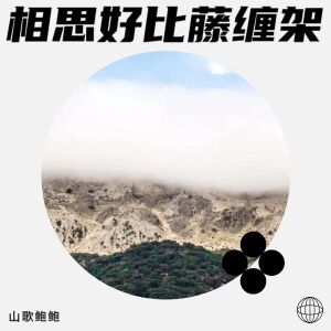 Album 相思好比藤缠架 from 山歌鲍鲍
