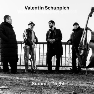 Dengarkan lagu Summer Night nyanyian Valentin Schuppich dengan lirik