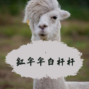 Listen to 红伞伞白杆杆 (抖音原版) song with lyrics from 杨千霈