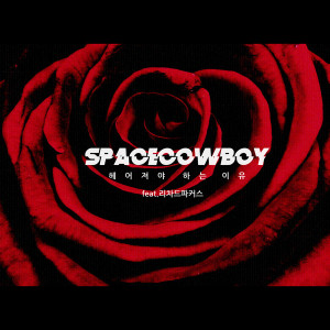 收听Space Cowboy的必须要分手的理由(Feat.The Richard Parkers)歌词歌曲