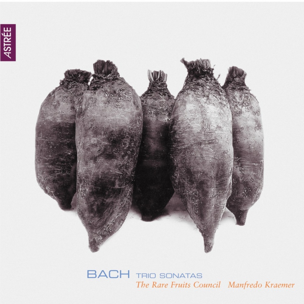 Oboe Sonata in G Minor, BWV 1030b: II. Largo e dolce (Arr. for Baroque Ensemble)