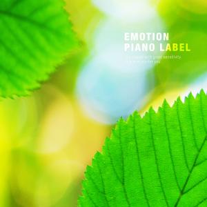 Album New Age Sensation Piano for Youth from Various Artists