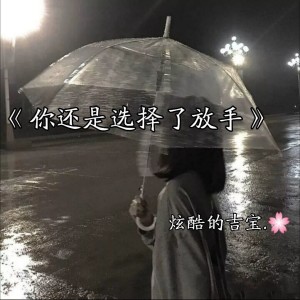 吉宝的专辑你还是选择了放手
