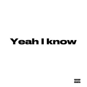 Yeah I know (Explicit)