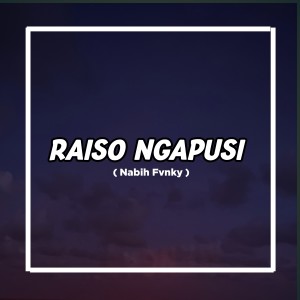 Nabih Fvnky的专辑Raiso Ngapusi (Remix)