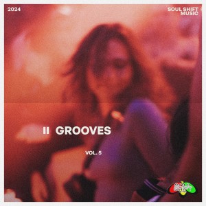 群星的專輯Grooves Vol. 5