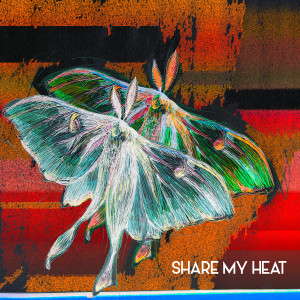 The Joy Formidable的專輯Share My Heat