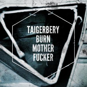Listen to Burn Motherfucker (Explicit) song with lyrics from Taigerbery