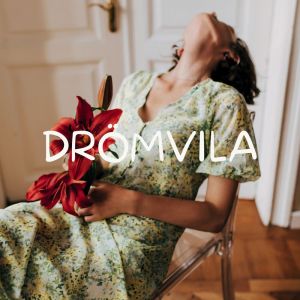 Helande Instrumentalmusik Akademi的專輯Drömvila (Genom skymningens ljus)