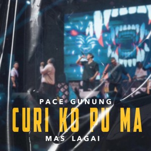 Listen to Curi Ko Pu Ma song with lyrics from Pace Gunung