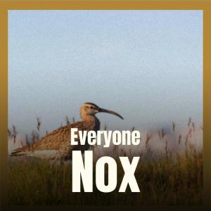 Dengarkan Everyone Nox lagu dari Thomy Keiler dengan lirik