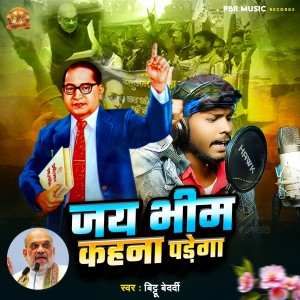 Album Jay Bhim Kahana Parega from Bittu Bedardi