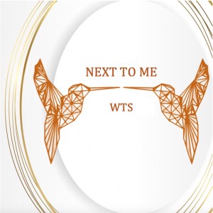 Listen to Next To Me (Charles Jay Radio Mix) song with lyrics from WTS