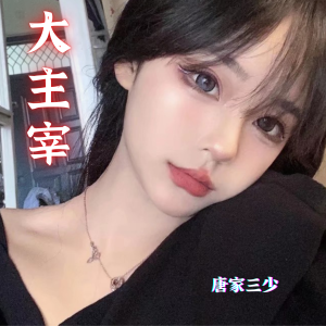 Listen to 可可托海的牧羊人 (原版) song with lyrics from 唐家三少