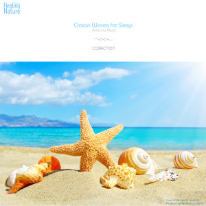 ดาวน์โหลดและฟังเพลง Sleep Sea Sound พร้อมเนื้อเพลงจาก 힐링 네이쳐 Nature Sound Band
