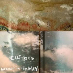 ดาวน์โหลดและฟังเพลง Needle in the Hay พร้อมเนื้อเพลงจาก Califone