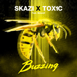 Listen to Buzzing song with lyrics from Skazi