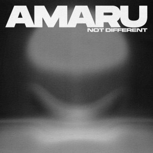 Amaru的专辑Not Different (Explicit)