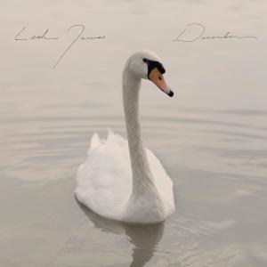 ดาวน์โหลดและฟังเพลง Blue Christmas พร้อมเนื้อเพลงจาก Leah James