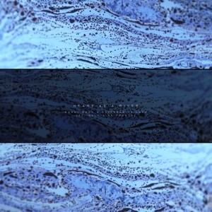 Dengarkan lagu Heart as a River nyanyian Robot Koch dengan lirik