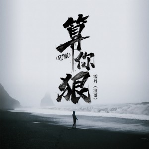 Album 算你狠 (DJ版) from 霈丹(浪哥)