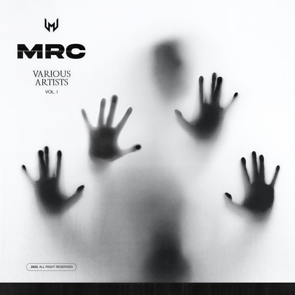 Reverse Bass (Original Mix)