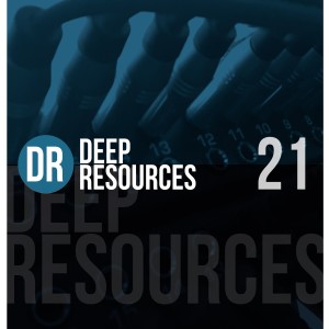 Various Artists的專輯Deep Resources, Vol. 21