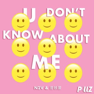 Listen to You Don't Know About Me song with lyrics from N2V