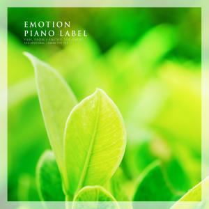 Listen to A Few Words Consolation song with lyrics from 디오티마