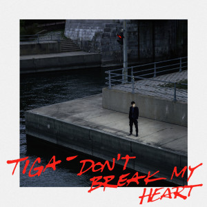 Album Don’t Break My Heart (Shiba San Remix) from Tiga
